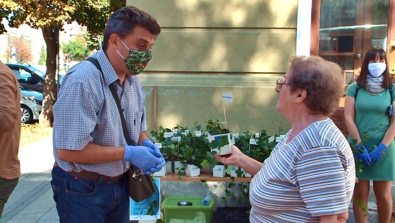 Autómentes napot tartottak Debrecenben