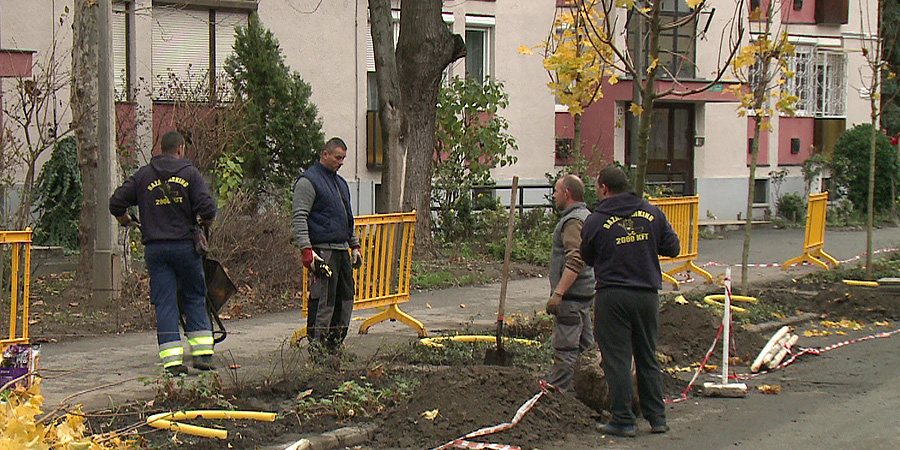 Megkezdődött a faültetés a Vörösmarty utcában