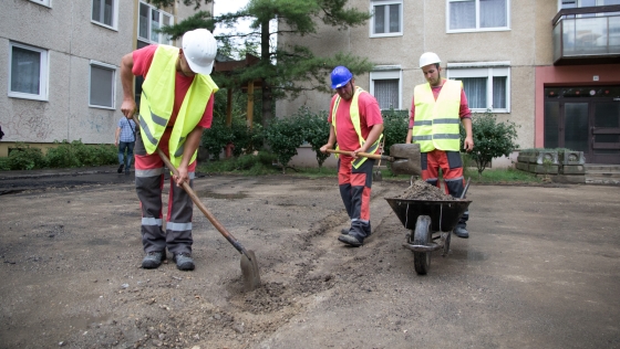 A járdafelújítással párhuzamosan a zöldterületet is megújítják az Újkertben