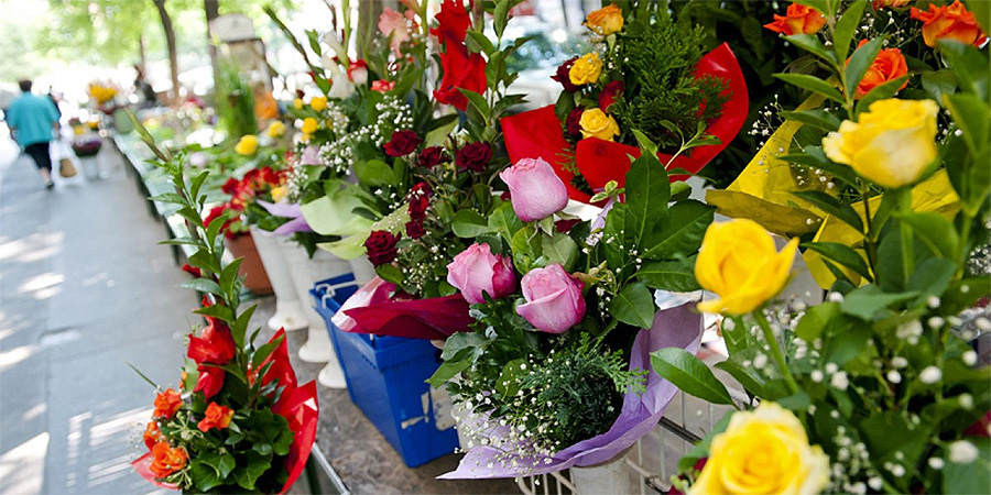 A Dósa nádor tér megújítása miatt ideiglenesen elköltözik a debreceni virágpiac