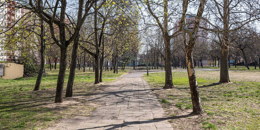 Hamarosan megkezdődhet az Újkert teljes megújítása