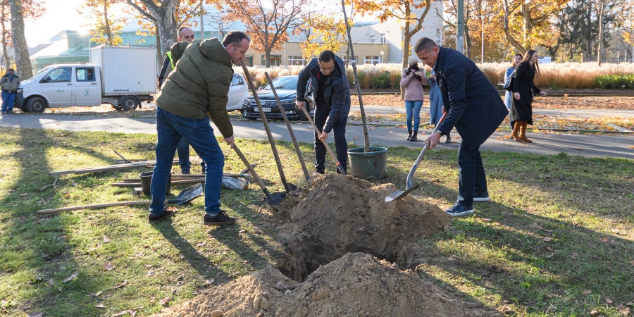 Tavasszal megkezdődhet a véderdősítés Debrecenben