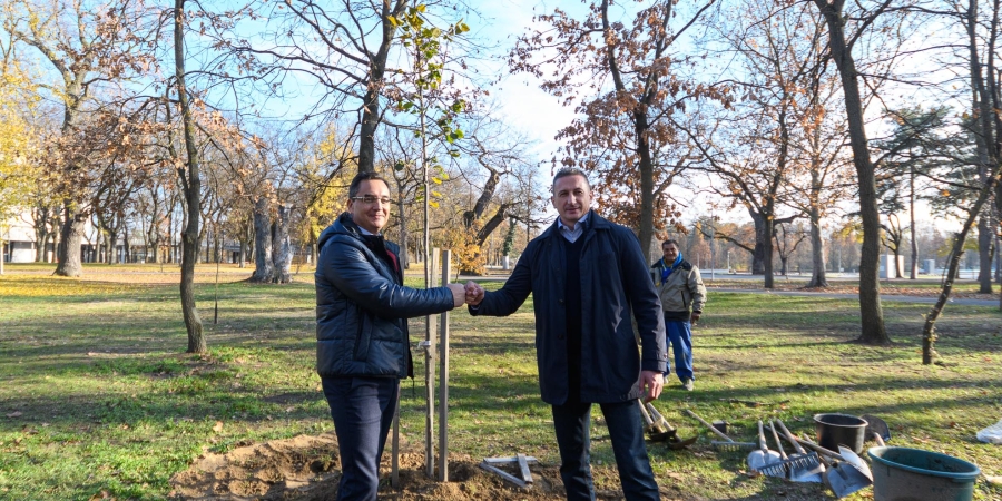Faültetés, közlekedés, Civaqua: a Zöld Debrecen programról beszélt a város polgármestere