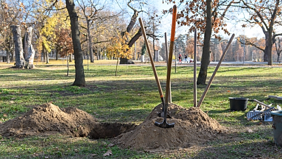  Jelentős lépéseket tesz Debrecen a környezet megóvásáért
