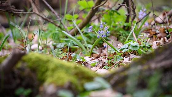 Több mint 40 milliárd forintot fordíthatnak a Civaqua második ütemére